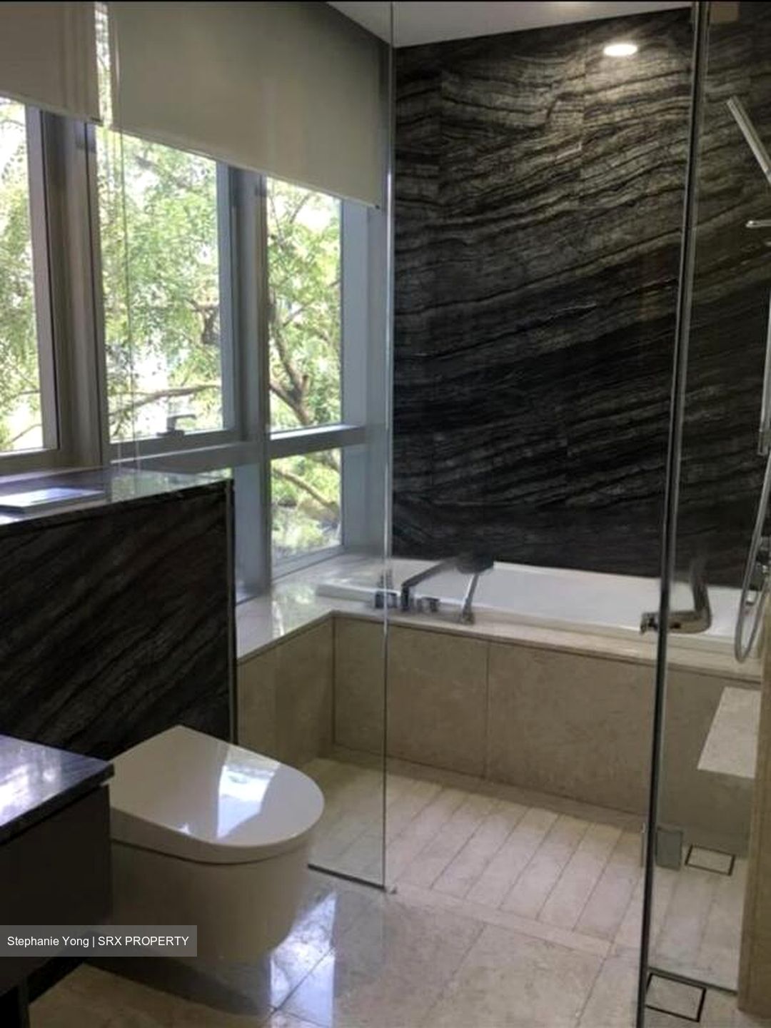 Gramercy Park (D10), Condominium #469739581